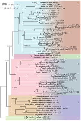 Frontiers in Plant Science Plant Systematics and Evolution